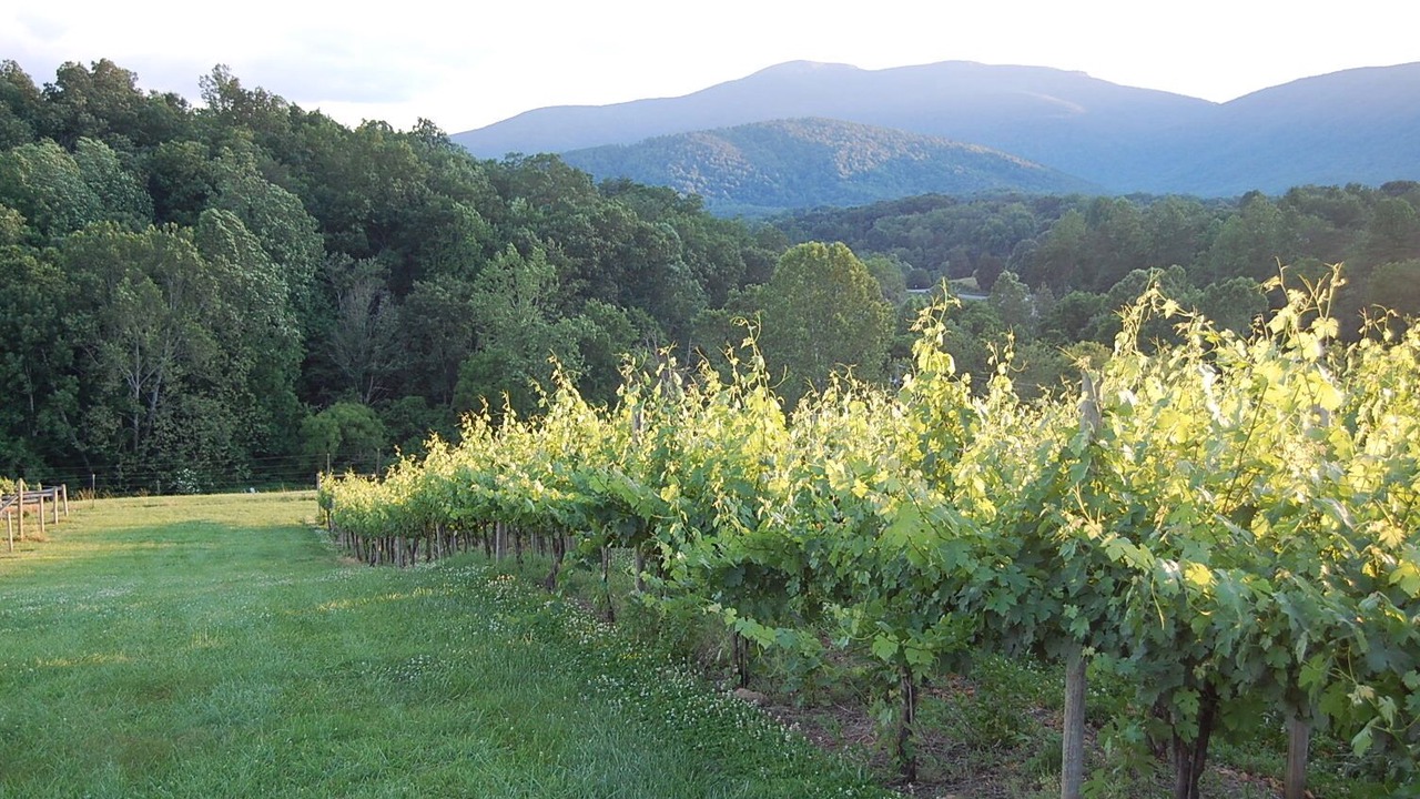 Photo of Outdoor in Afton