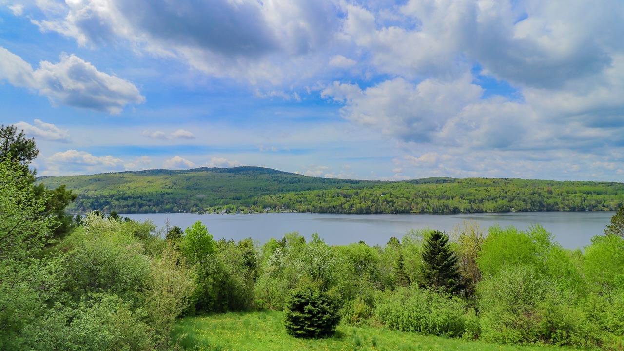 Photo of Outdoor in Rangeley