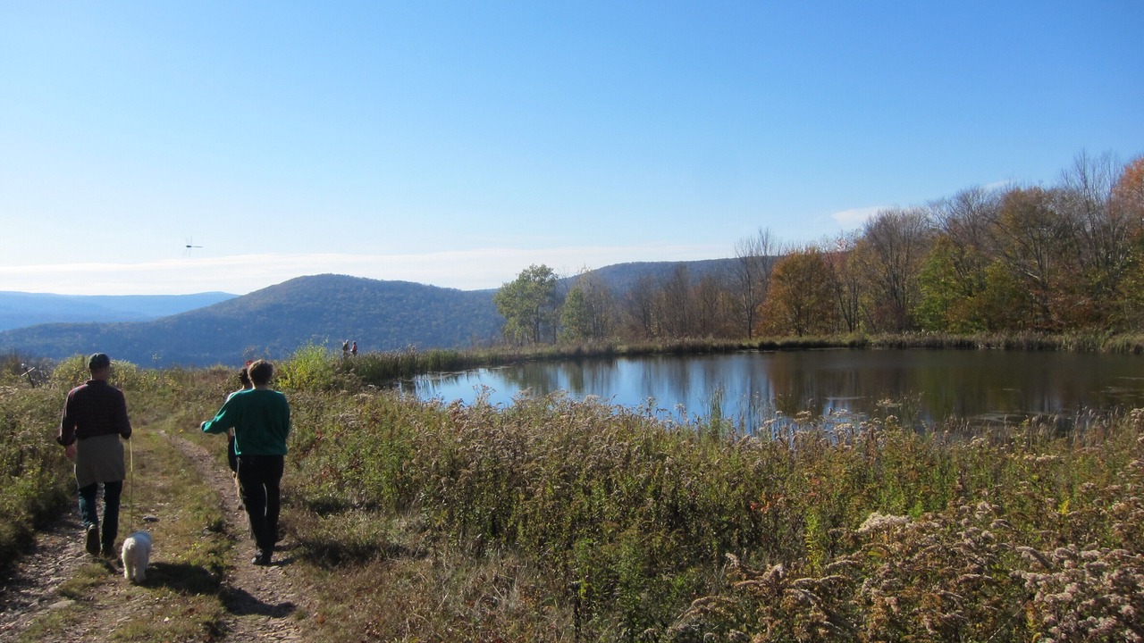 Photo of Others in Margaretville