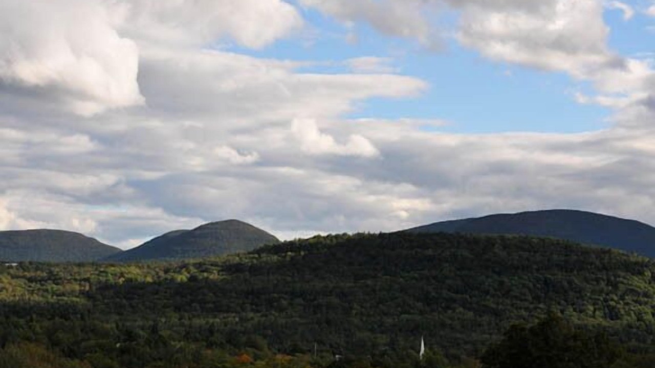 Photo of Others in Tannersville