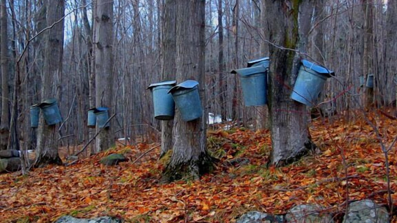 Photo of Others in Tannersville