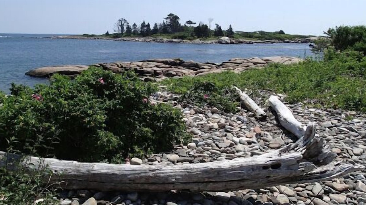 Photo of Others in Granite Point