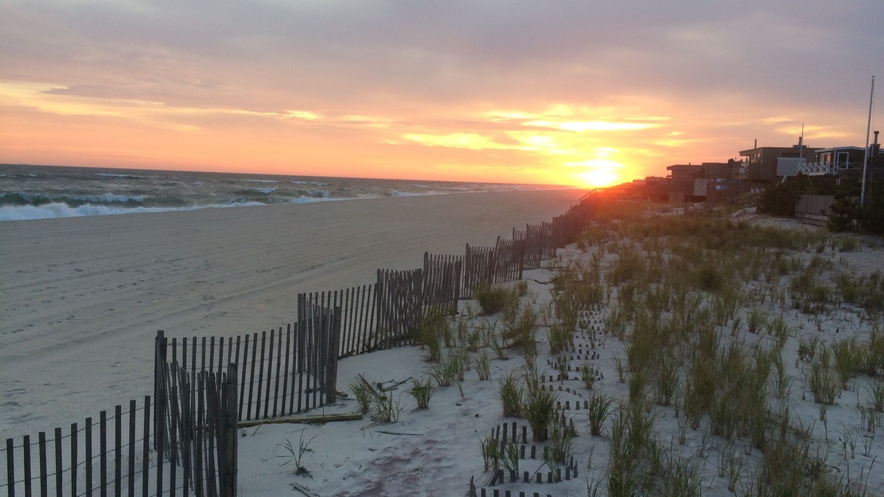 Photo of Others in Fire Island Pines