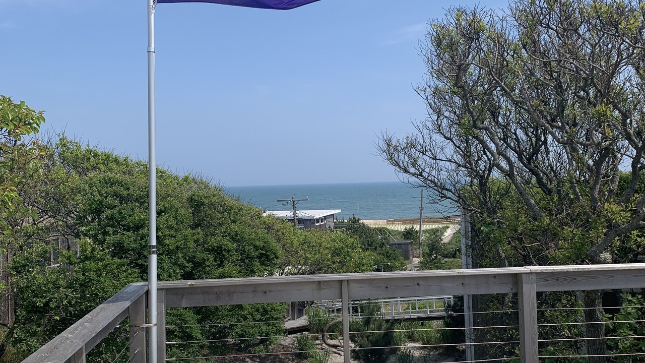 Photo of Others in Fire Island Pines