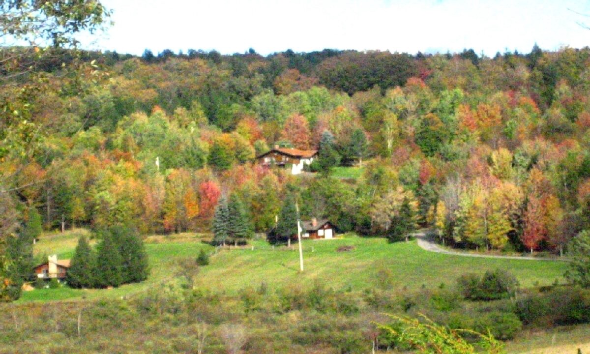 Photo of Others in Windham