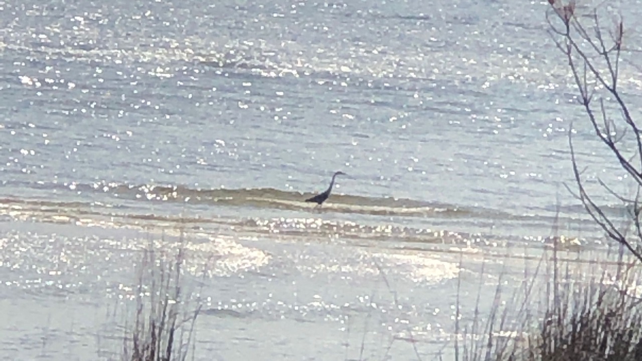 Photo of Others in Windmill Point