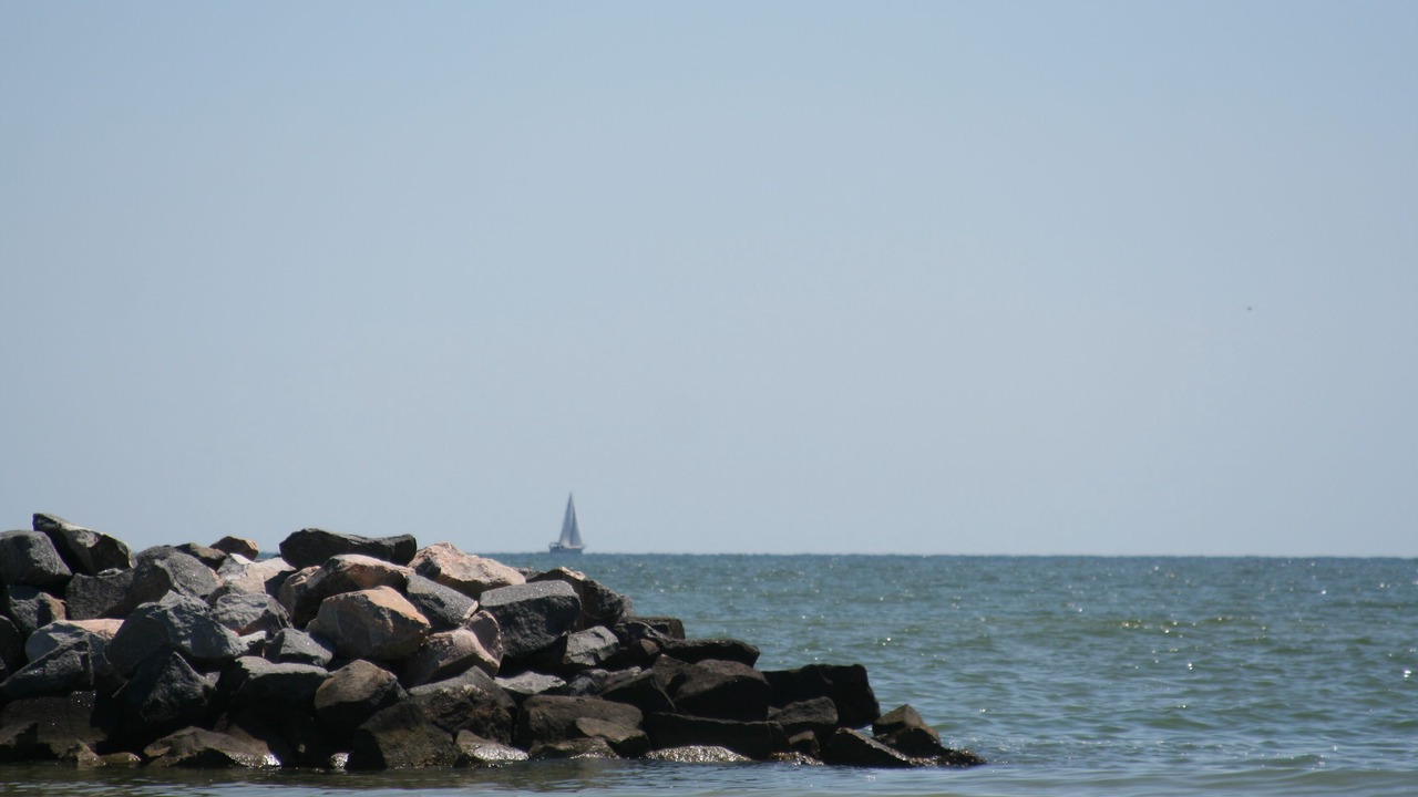 Photo of Others in Windmill Point