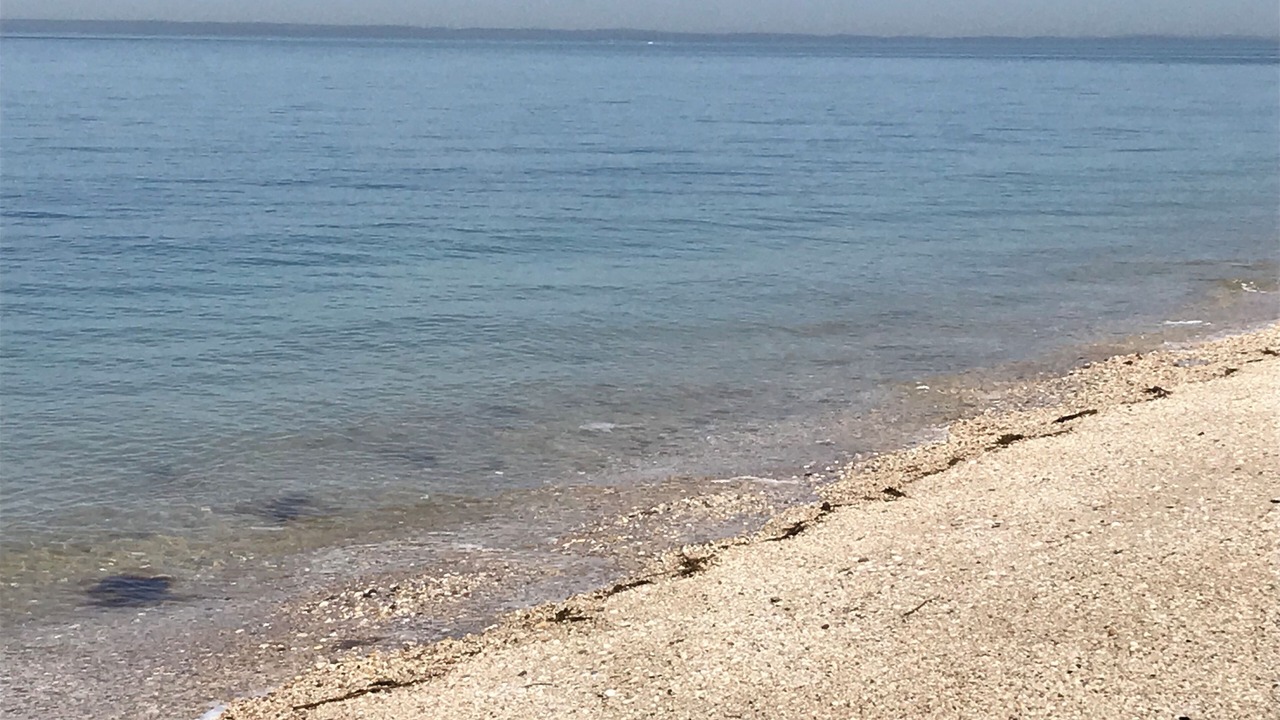 Photo of Others in Greenport West