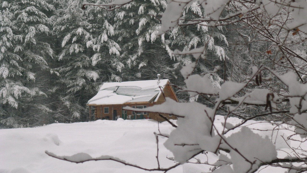Photo of Outdoor in Brookline