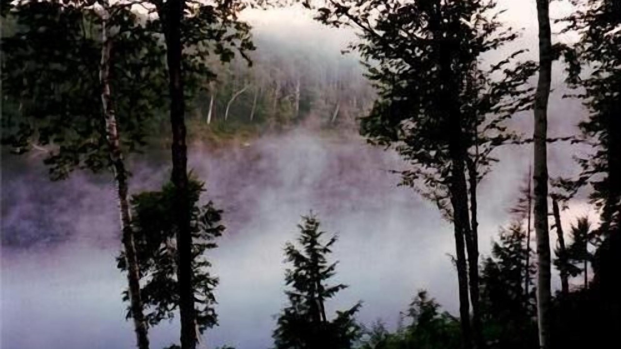 Photo of Others in Eden