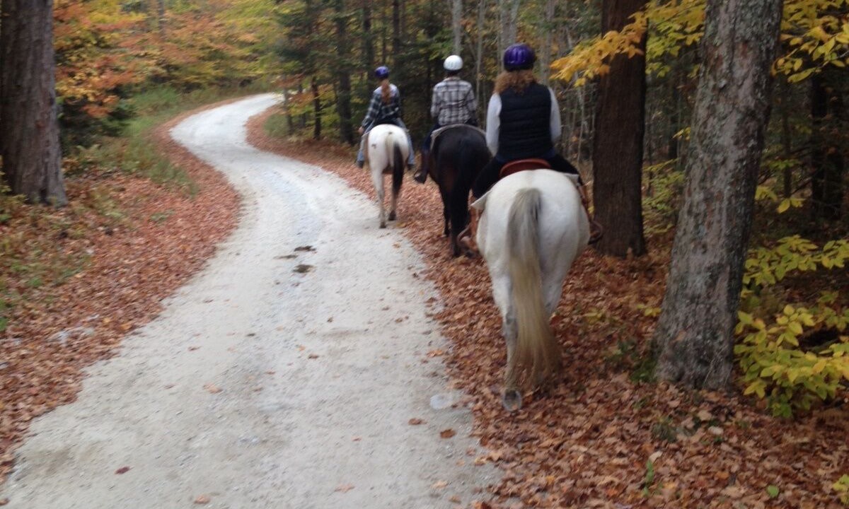 Photo of Others in Killington