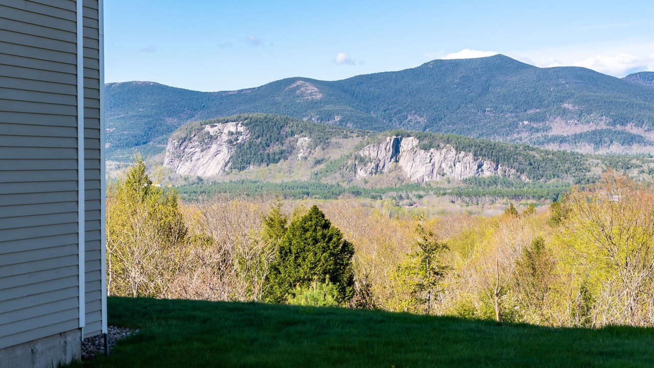 Photo of Others in Intervale