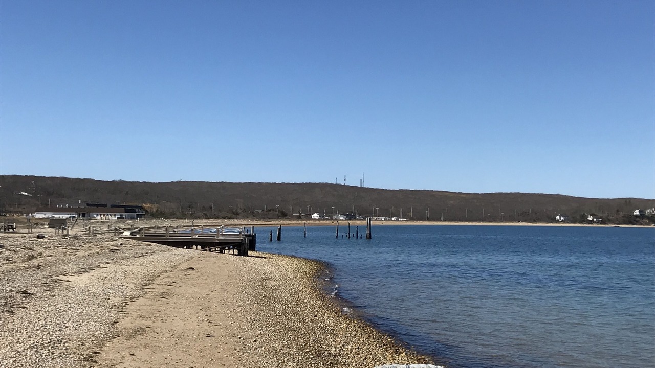 Photo of Others in Montauk