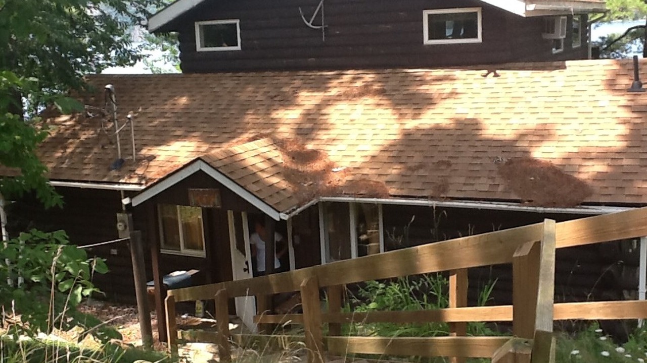 Photo of Outdoor in Town of Putnam