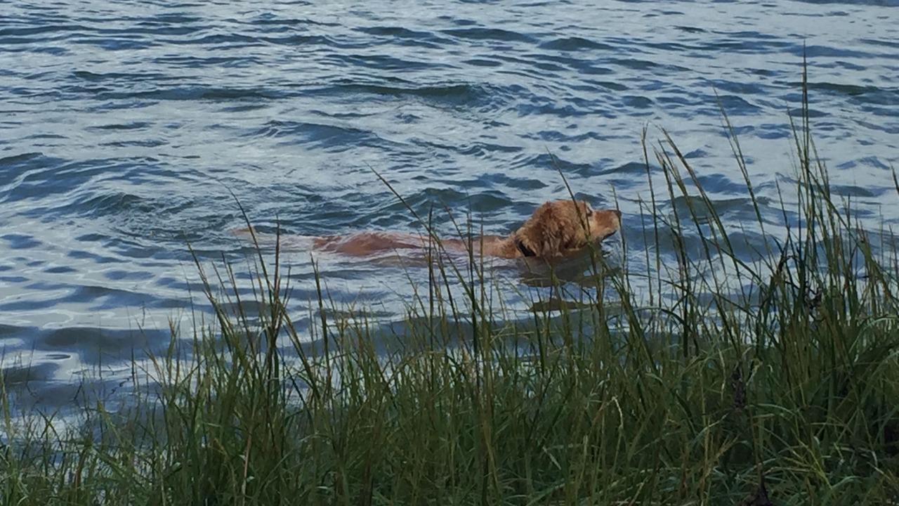 Photo of Others in Waldoboro