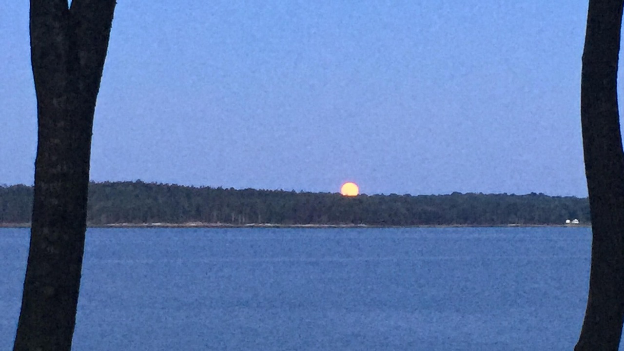 Photo of Others in Waldoboro
