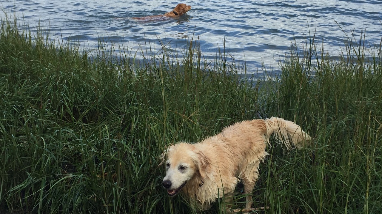 Photo of Others in Waldoboro
