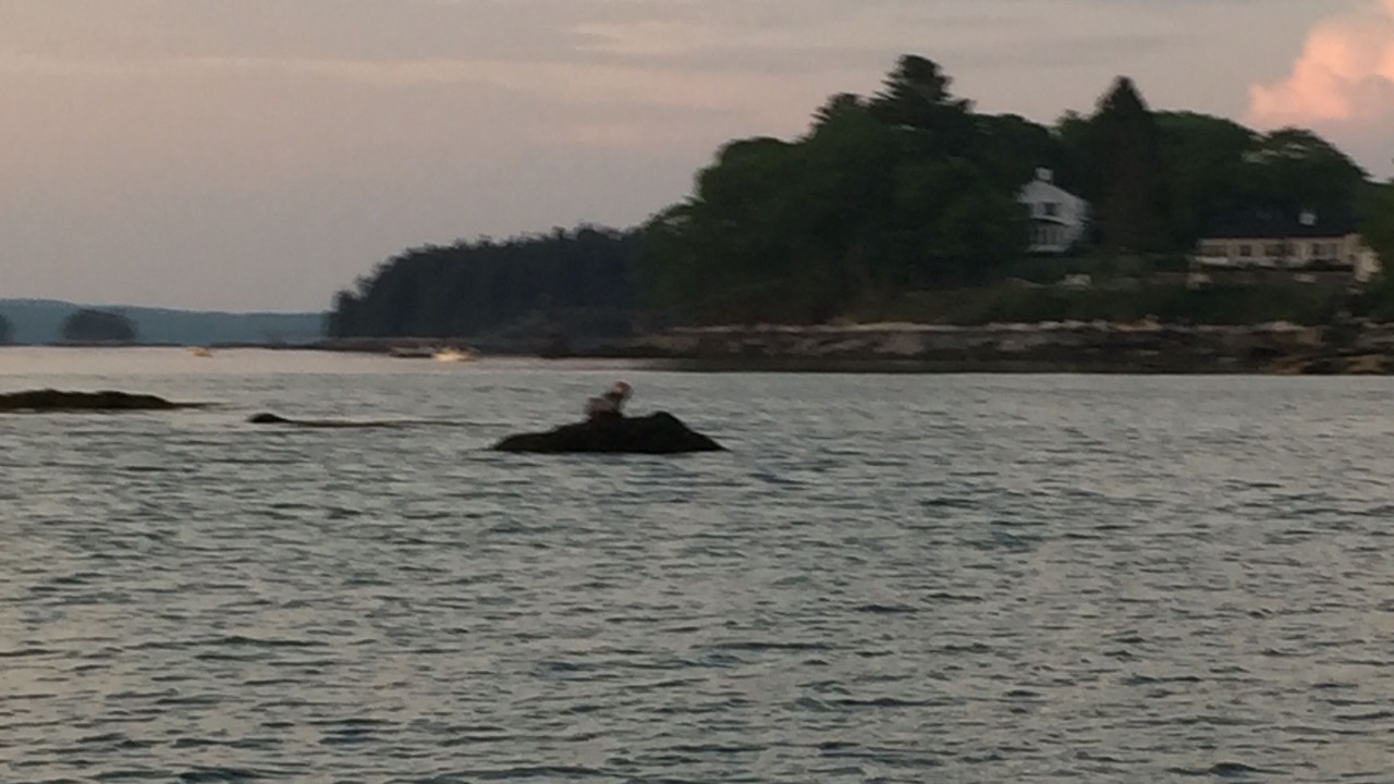 Photo of Others in Waldoboro