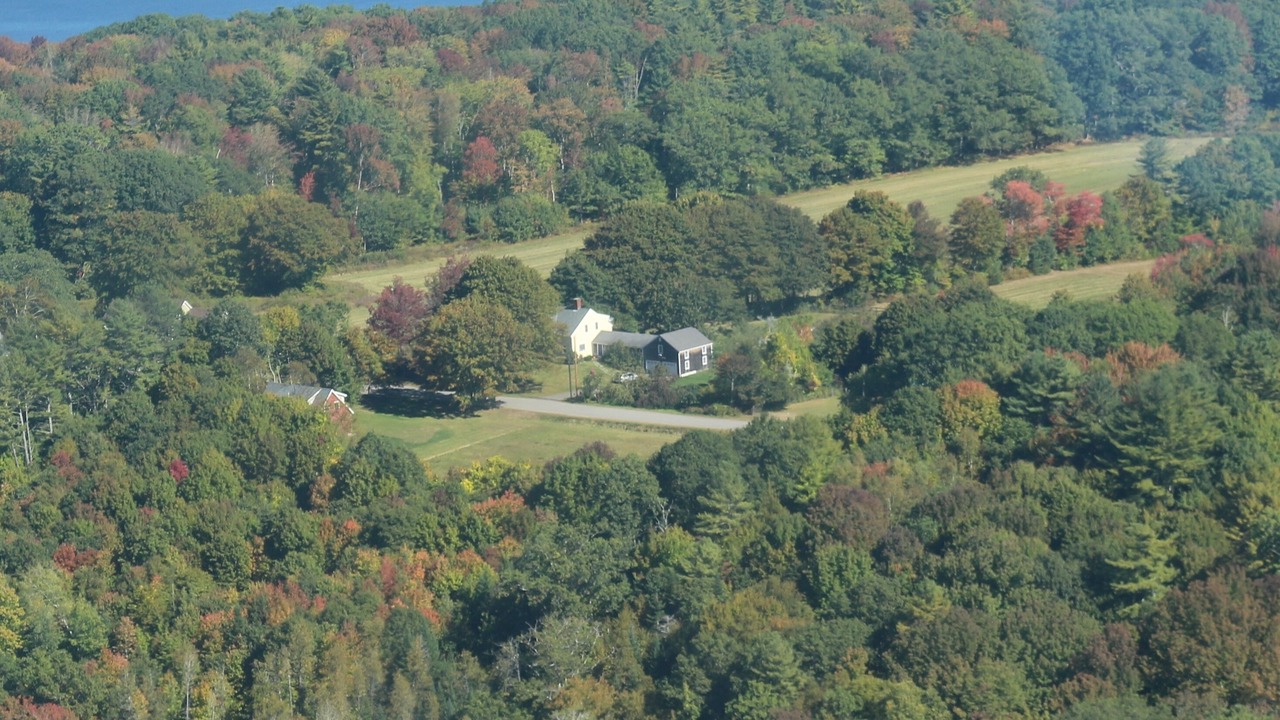 Photo of Others in Waldoboro