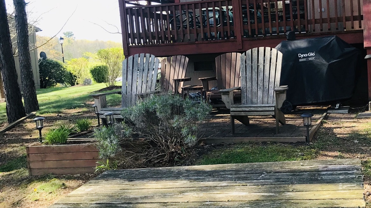 Photo of Outdoor in The Woods