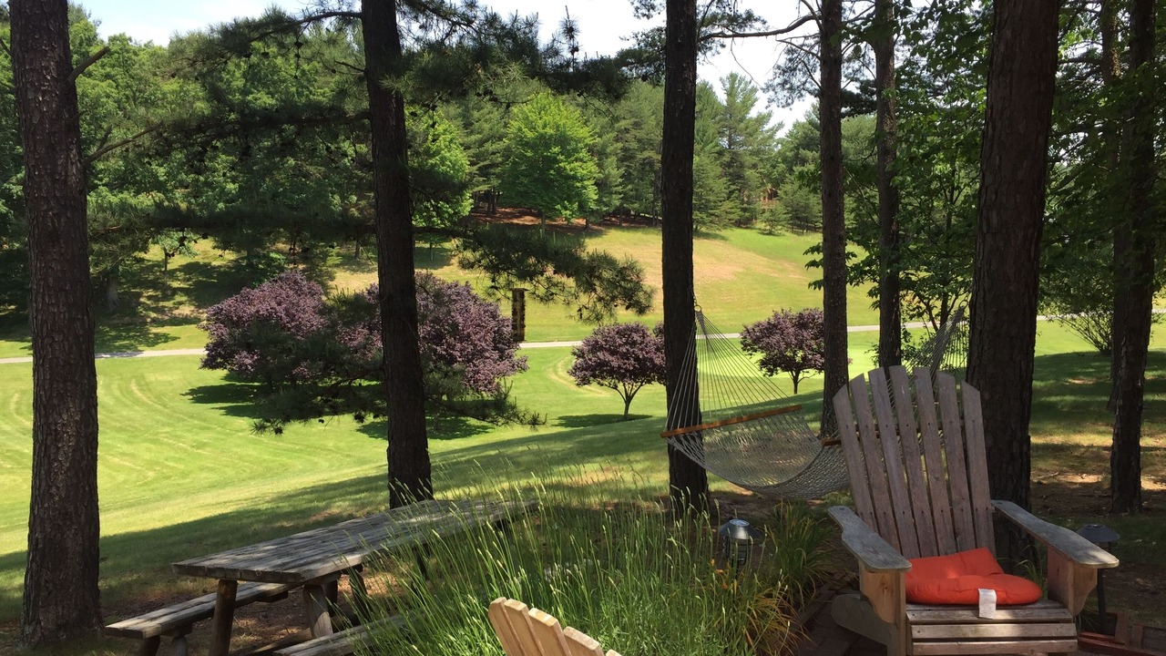 Photo of Outdoor in The Woods