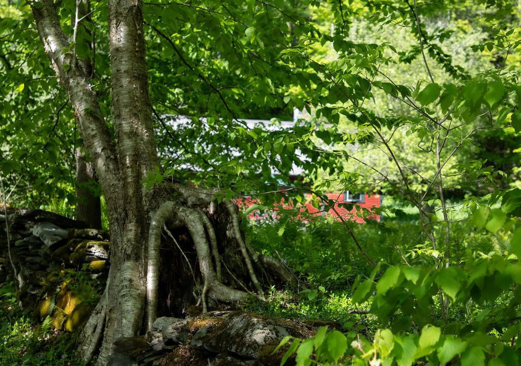 Photo of Outdoor in Barnard