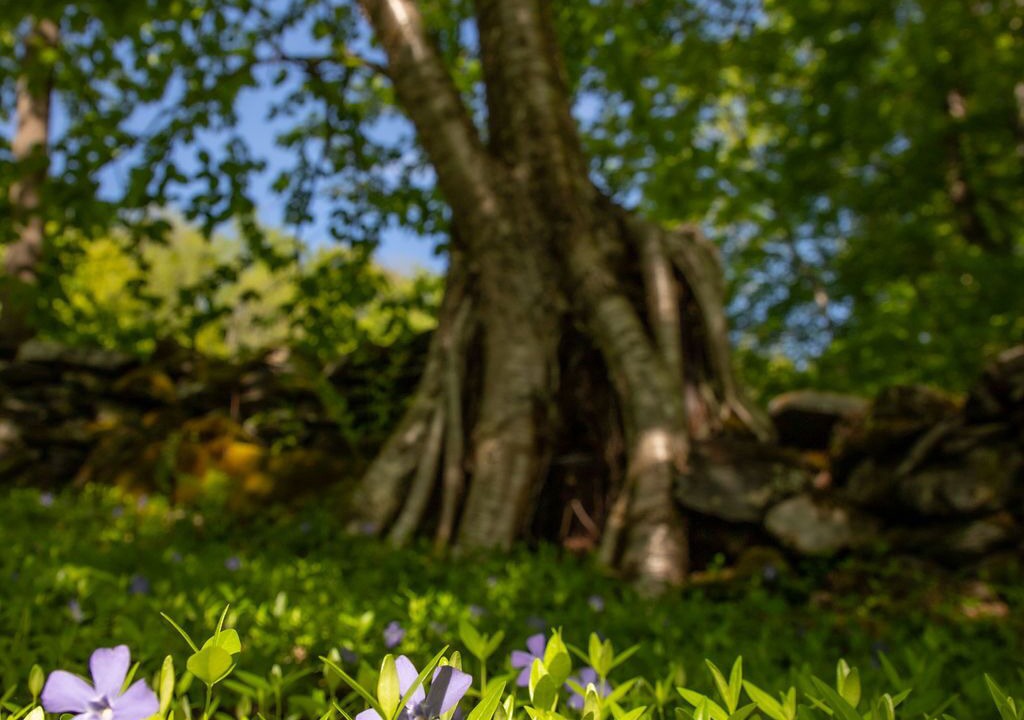 Photo of Outdoor in Barnard