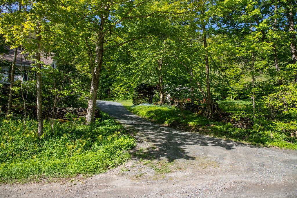 Photo of Outdoor in Barnard