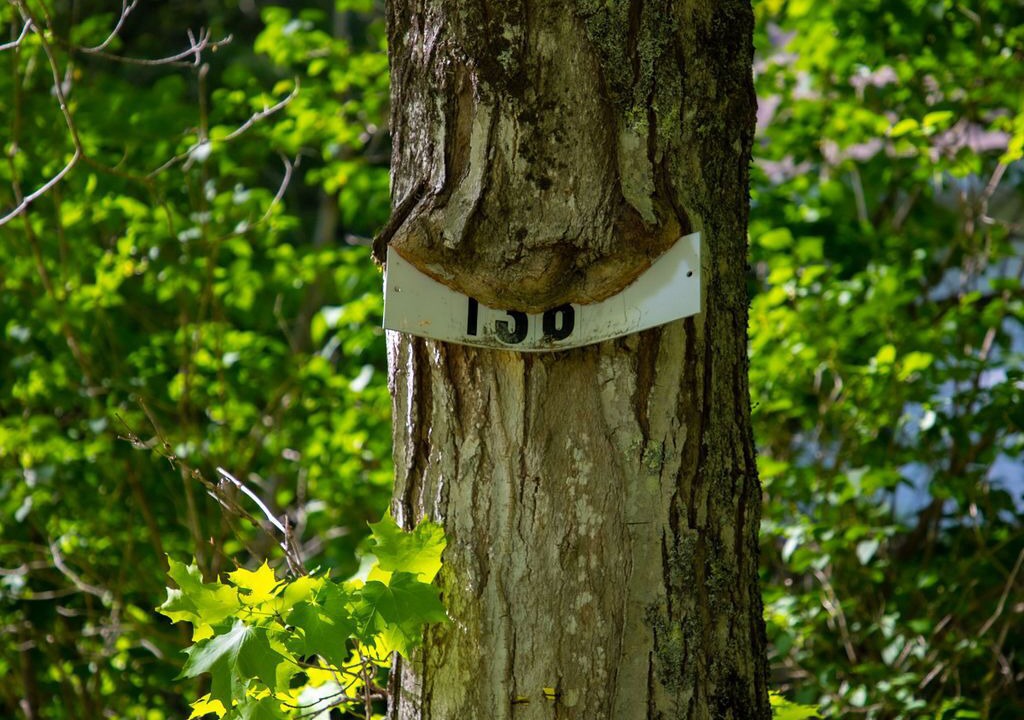 Photo of Outdoor in Barnard