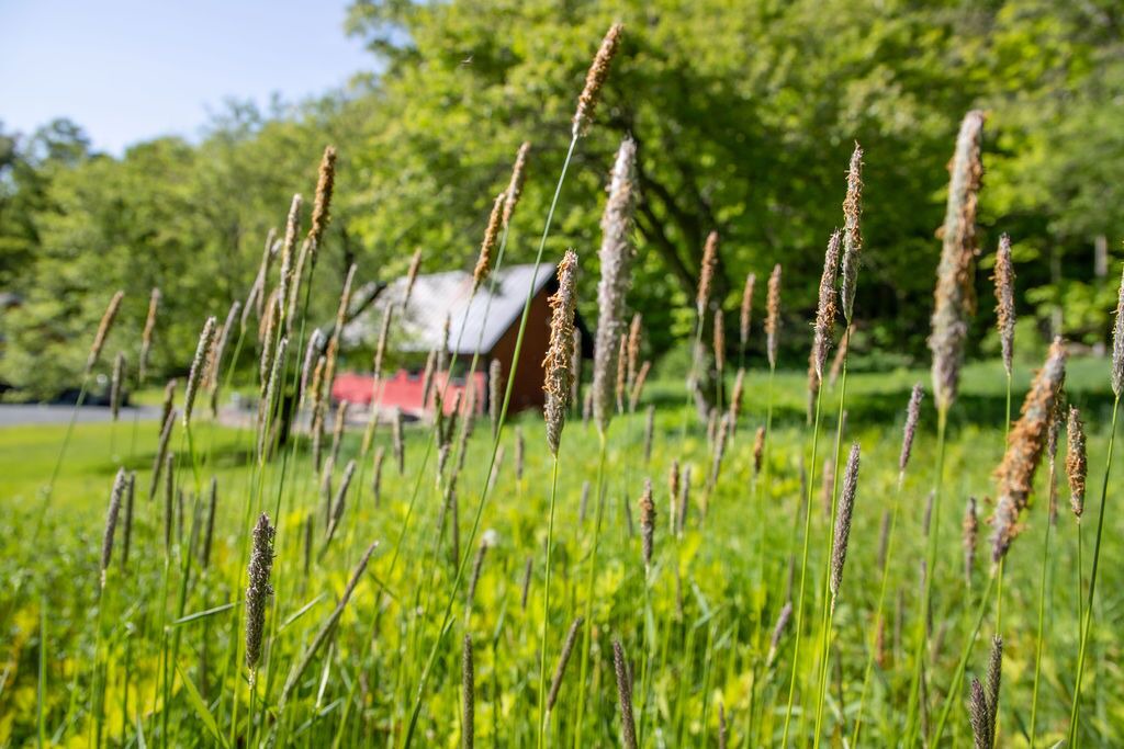 Photo of Outdoor in Barnard
