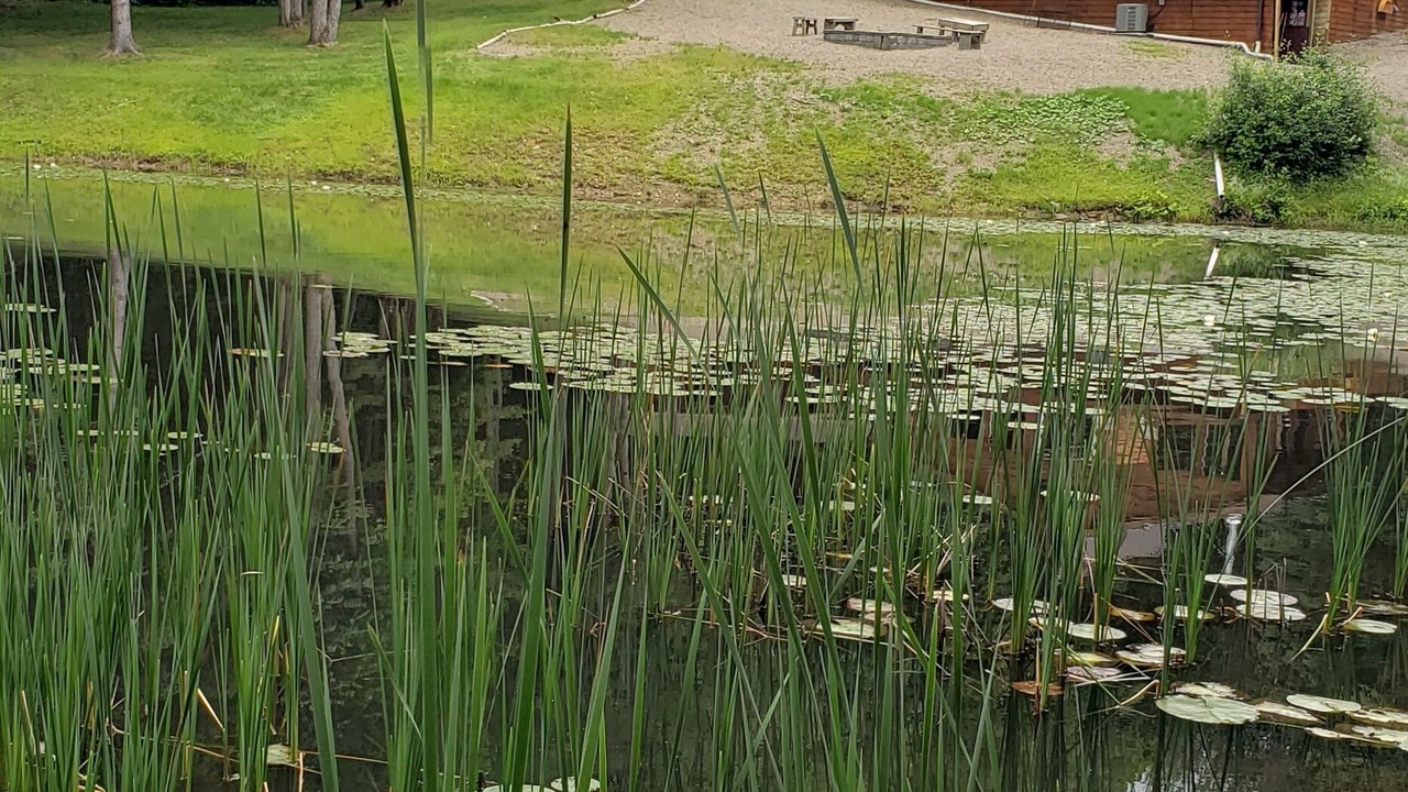 Photo of Outdoor in Farmersville Station