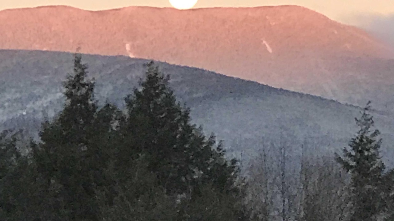 Photo of Others in Warren