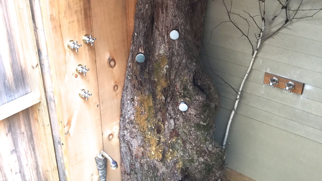 Photo of Others in Center Ossipee