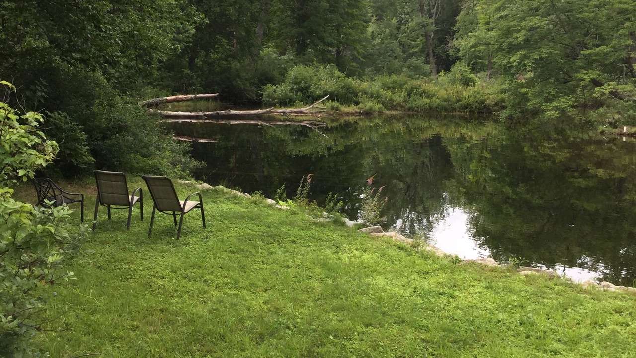 Photo of Others in Center Ossipee