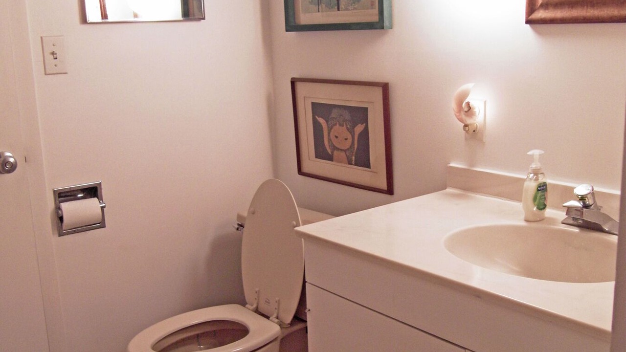 Photo of Bathroom in Chilmark