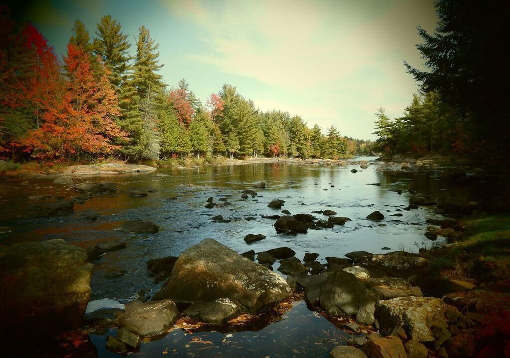 Photo of Others in Harrisville