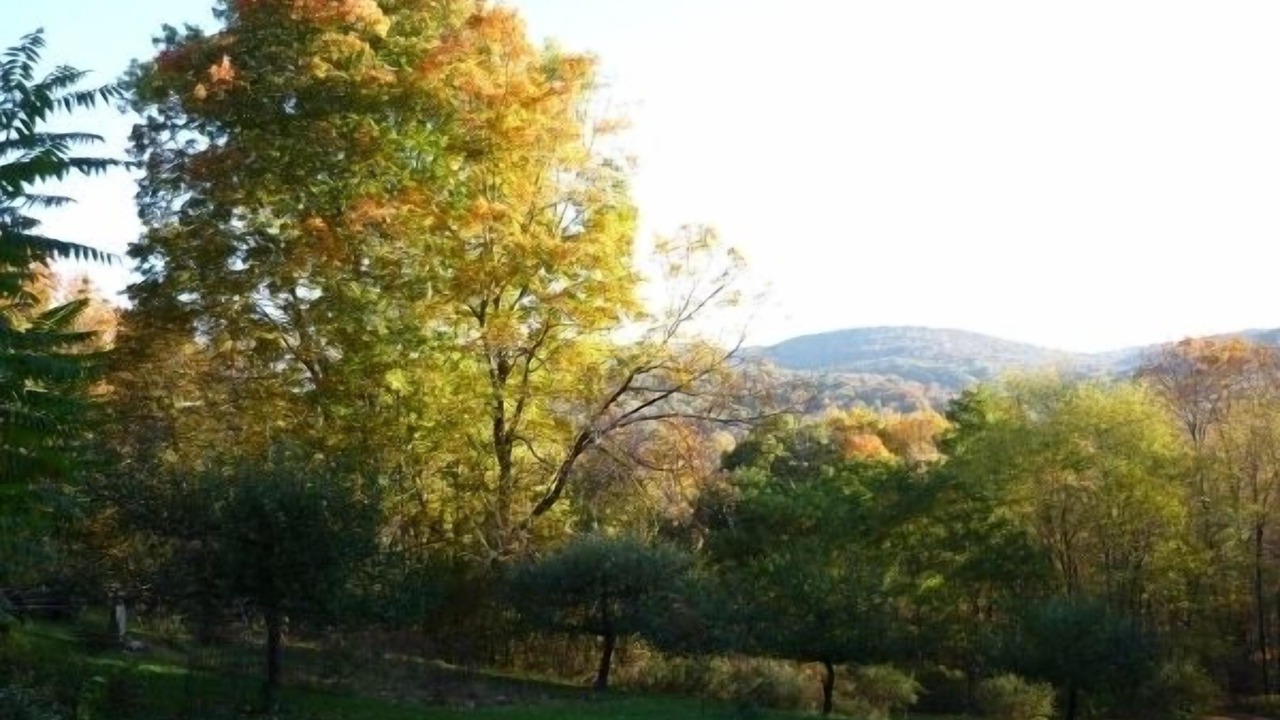 Photo of Outdoor in West Pawlet