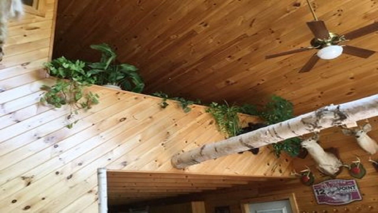 Photo of Bedroom in Hartwick