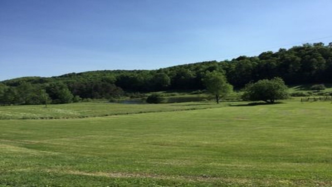 Photo of Others in Hartwick