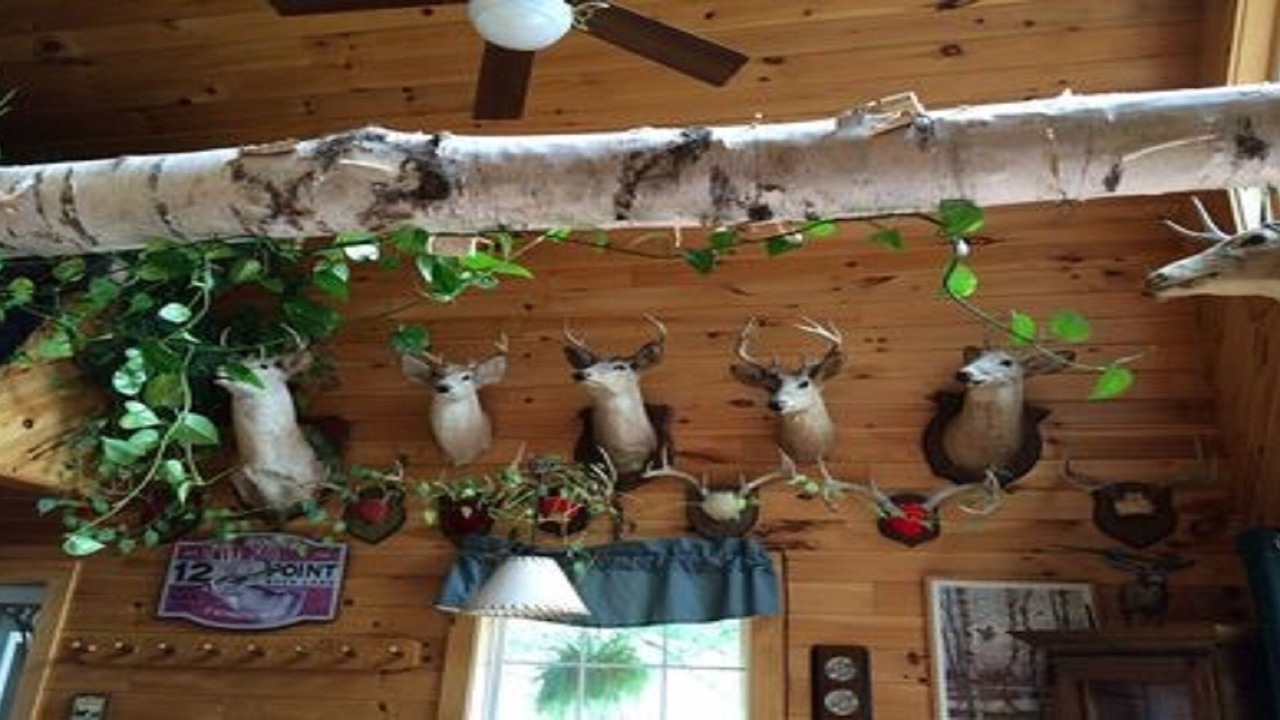 Photo of Bedroom in Hartwick