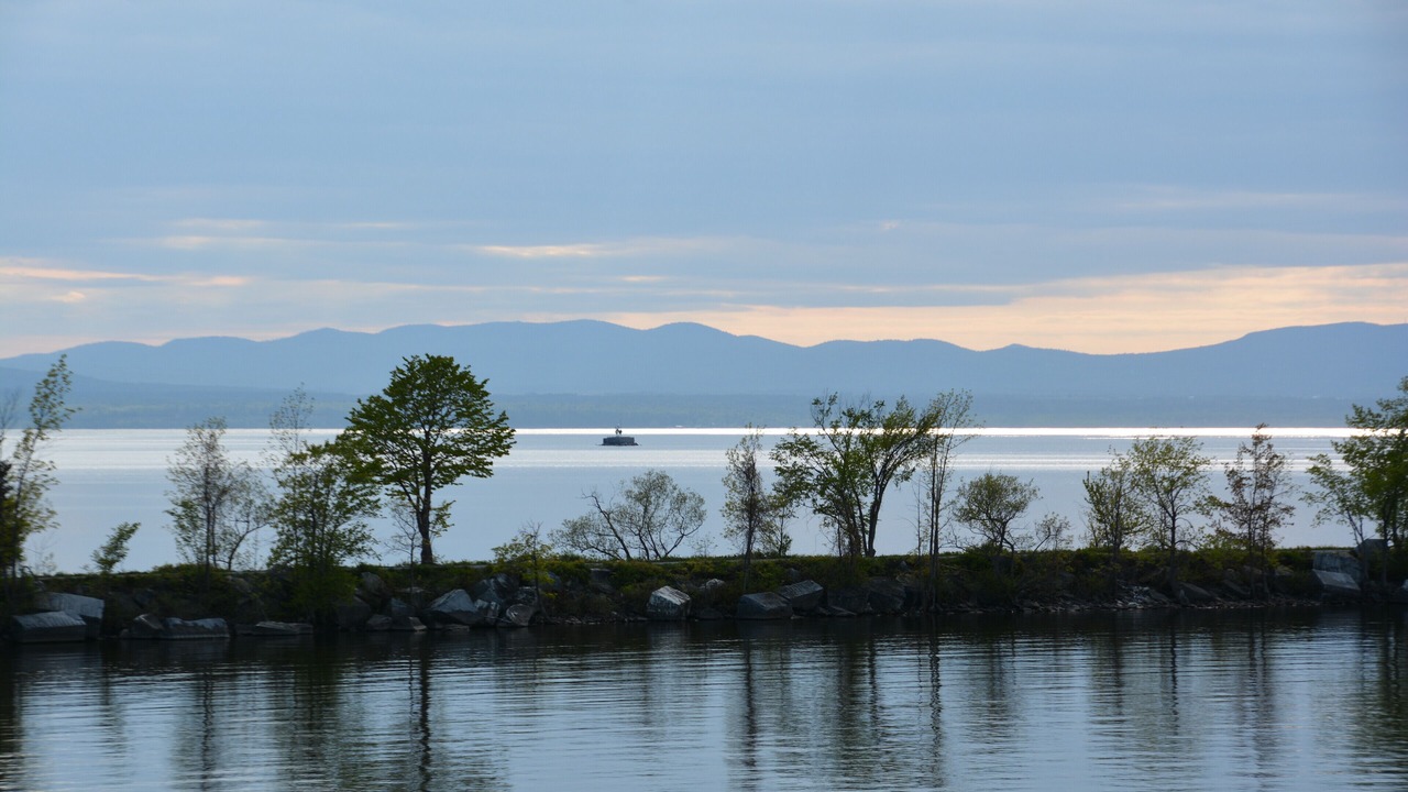 Photo of Others in Malletts Bay