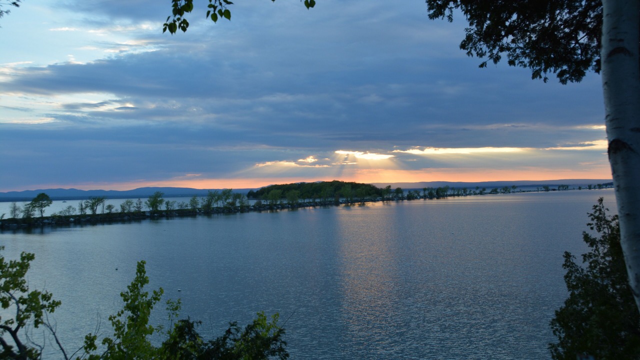 Photo of Others in Malletts Bay
