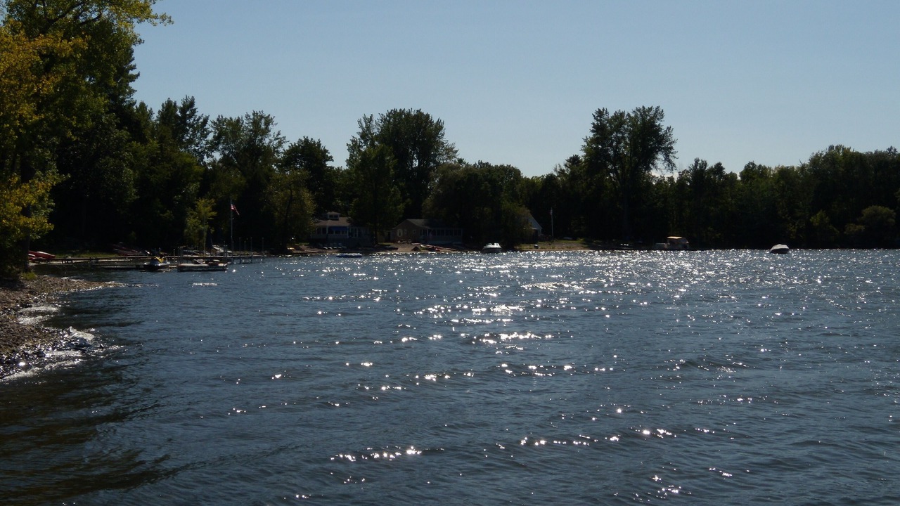 Photo of Others in Malletts Bay