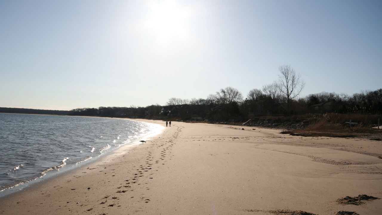 Photo of Others in Sag Harbor