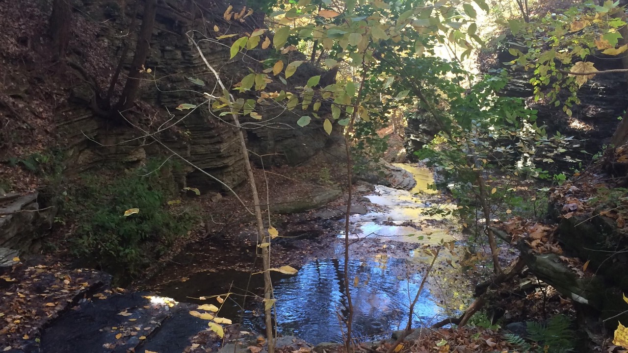 Photo of Outdoor in Burdett