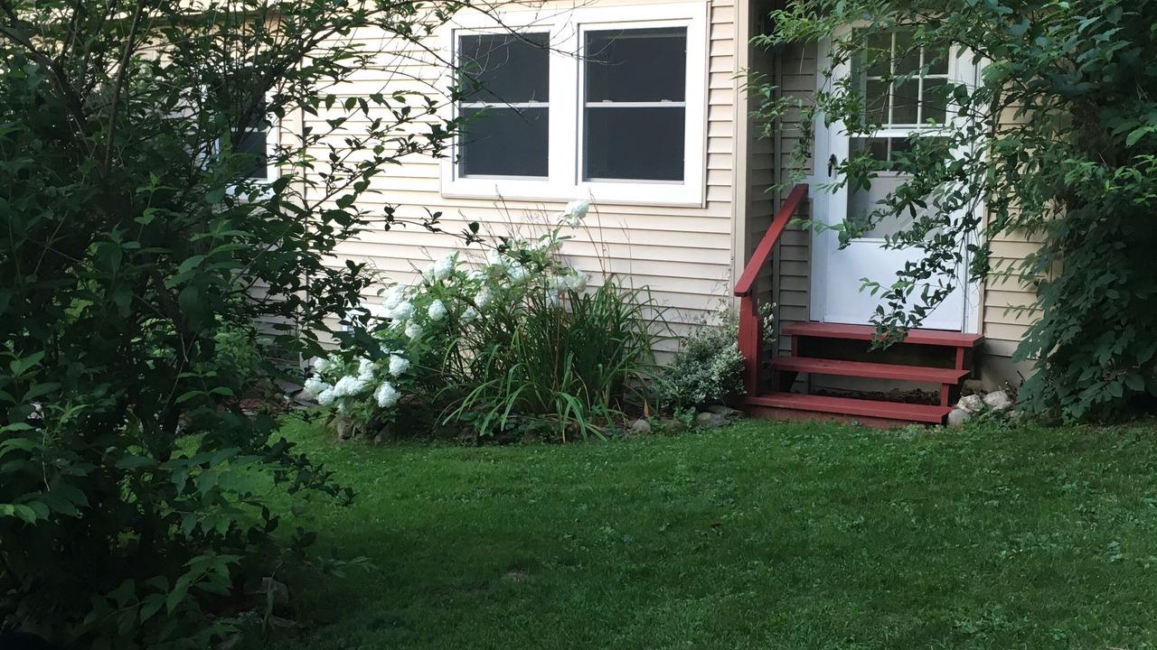Photo of Outdoor in Cambridge