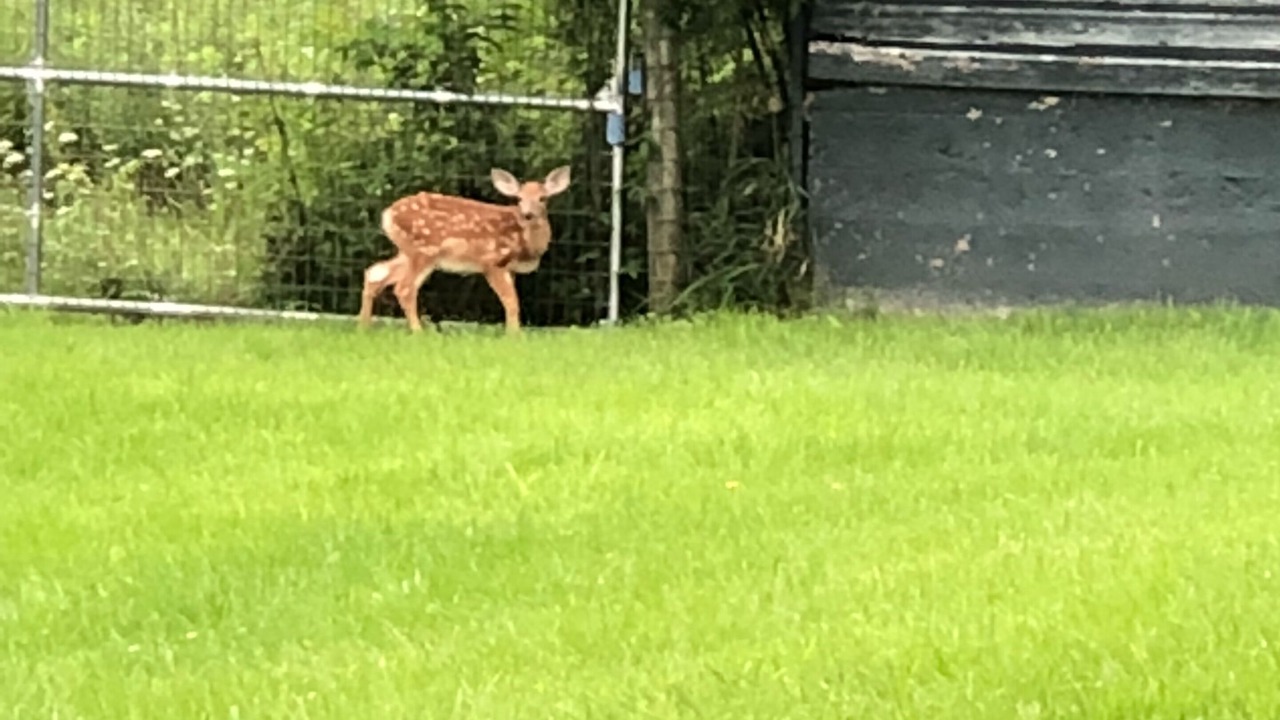 Photo of Outdoor in Cambridge
