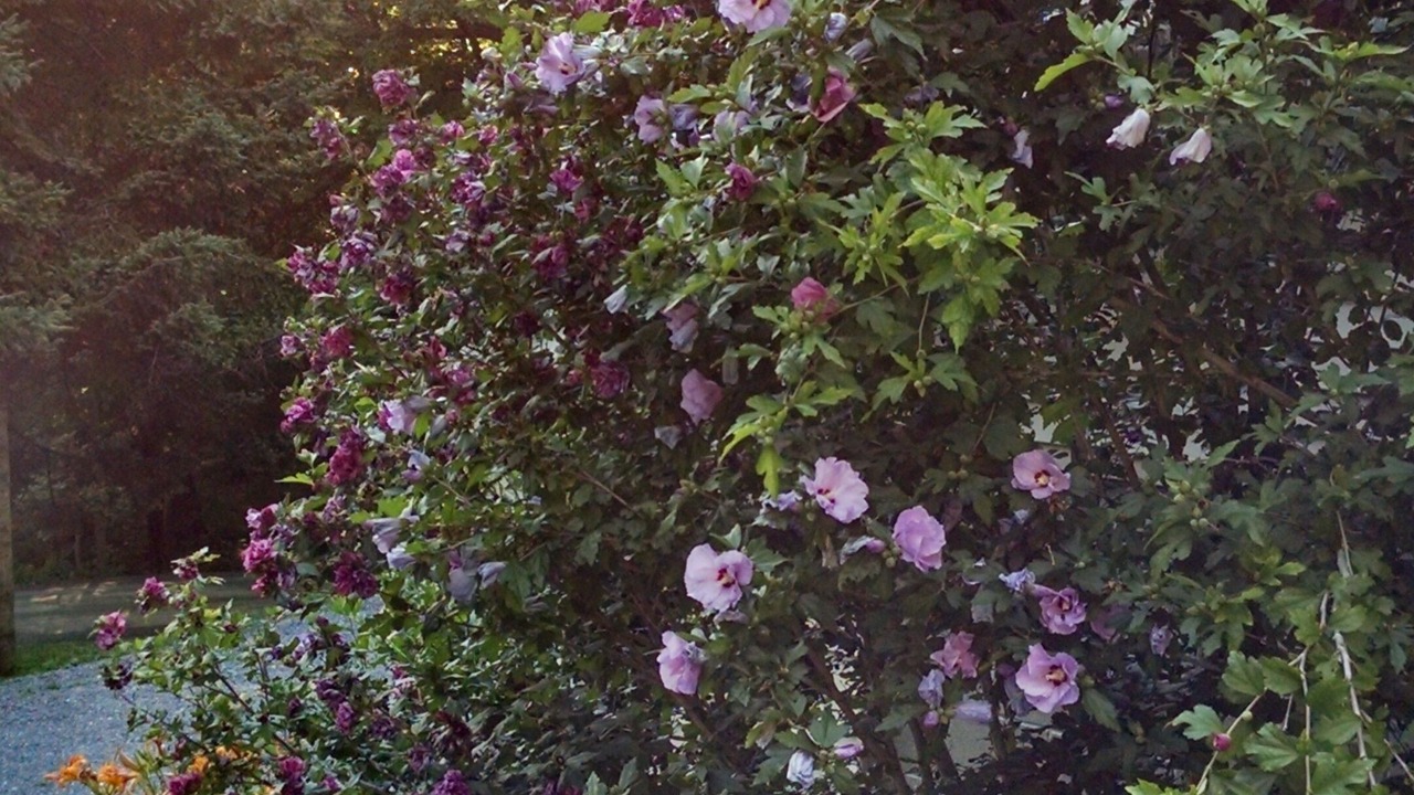 Photo of Outdoor in Cambridge