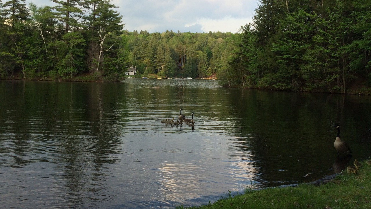 Photo of Outdoor in Ludlow