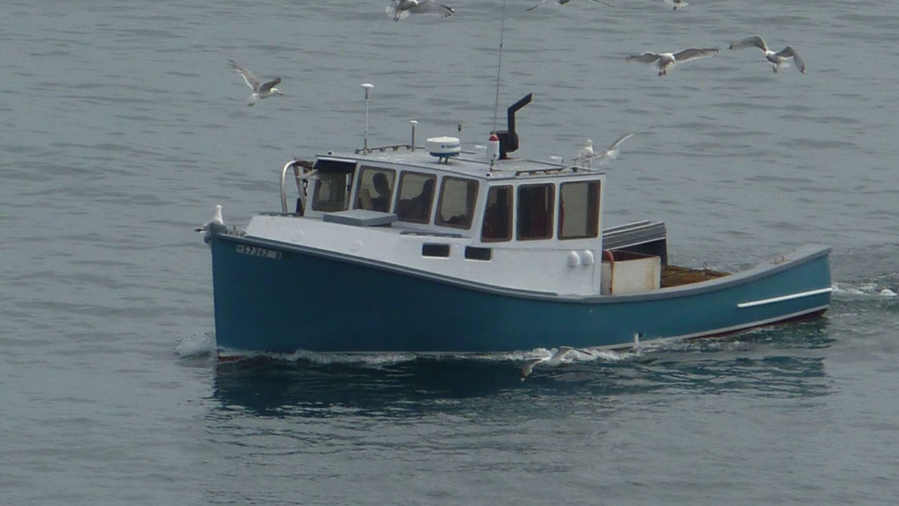 Photo of Others in Nahant